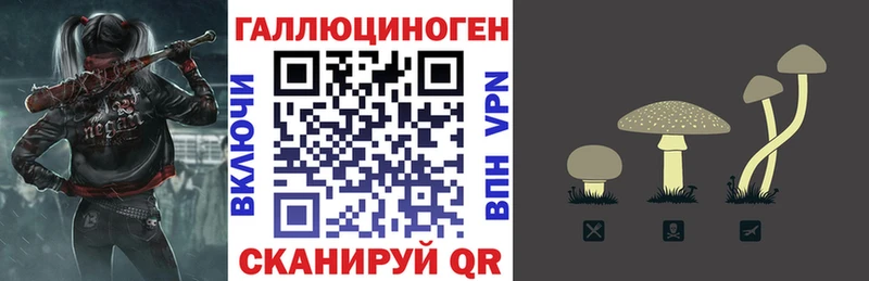 Галлюциногенные грибы мицелий  hydra ссылки  Шатура 